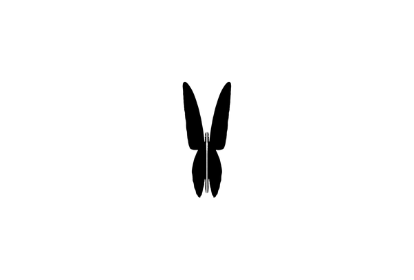 Koncept Koncept